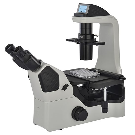 Bestscope BS-2040fb (LED) Fluorescent Biological Microscope for Lab  Research - China Microscope Price, Biological Microscope