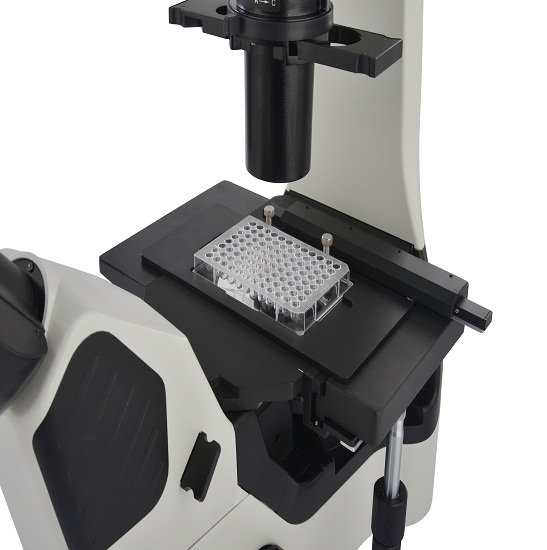 BS-2094B Inverted Biological Microscope