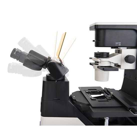 BS-2094CF LED Fluorescent Inverted Biological Microscope