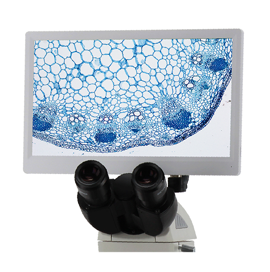 BLC-250A LCD Digital Microscope Camera(Sony CMOS Sensor, 5.0MP)