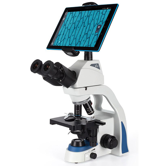 BS-2026BD1 Binocular Biological Microscope