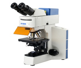 BS-2064FB(LED) Binocular Fluorescent Biological Microscope