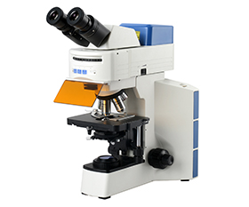 BS-2064FB(LED) Binocular Fluorescent Biological Microscope