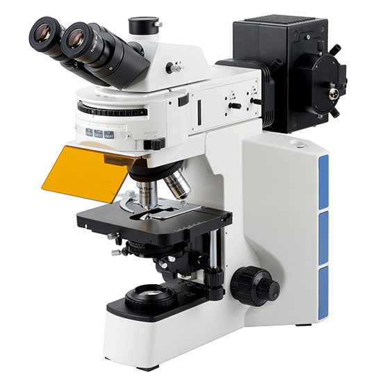 BS-2064FT Fluorescent Trinocular Biological Microscope