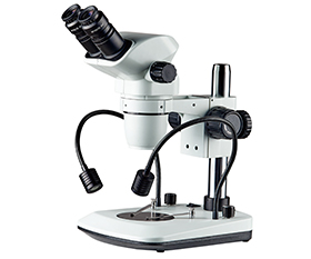 BS-3030C Binocular Zoom Stereo Microscope