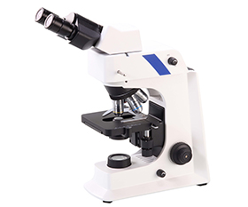 BS-2036F2B(LED) LED Fluorescent Binocular Biological Microscope