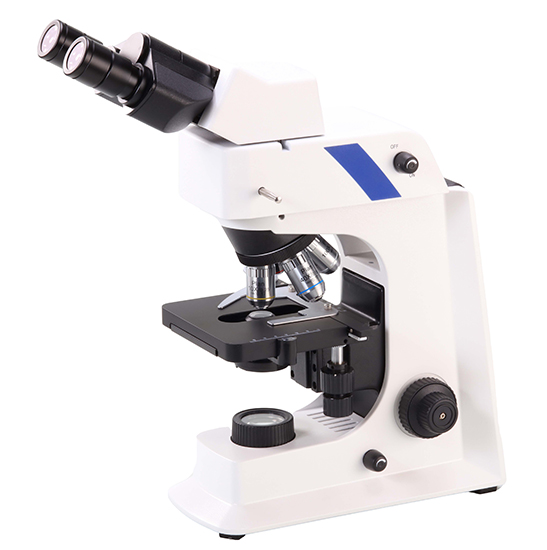 BS-2036F2B(LED) LED Fluorescent Binocular Biological Microscope