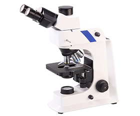 BS-2036F2T(LED) LED Fluorescent Trinocular Biological Microscope