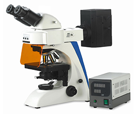 BS-2063FB Fluorescence Binocular Microscope