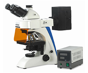BS-2063FT Fluorescence Trinocular Microscope