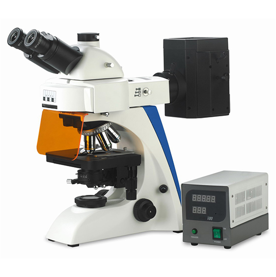 BS-2063FT Fluorescence Trinocular Microscope