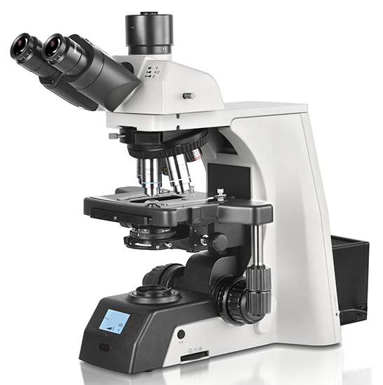BS-2081L Research Biological Microscope
