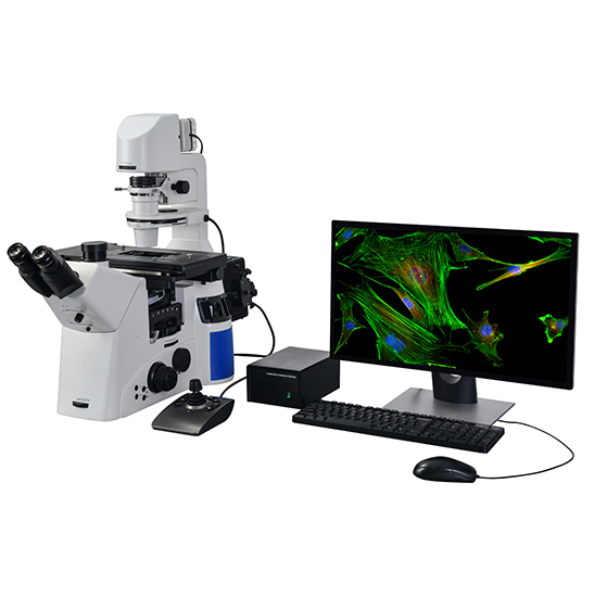 BS-2095FMA Motorized Autofocus Inverted Fluorescent Microscope