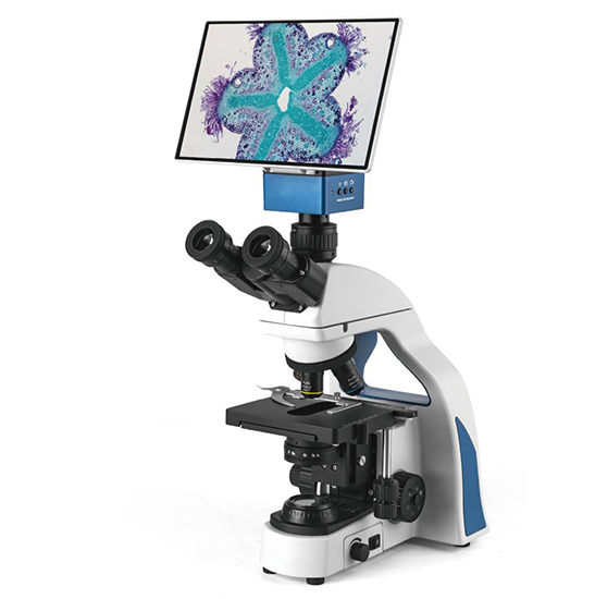 BS-2043BD1 LCD Digital Biological Microscope