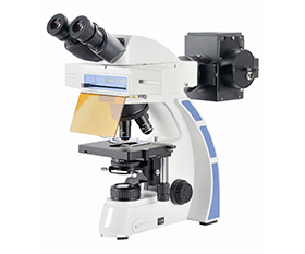 BS-2044FB Fluorescent Binocular Biological Microscope