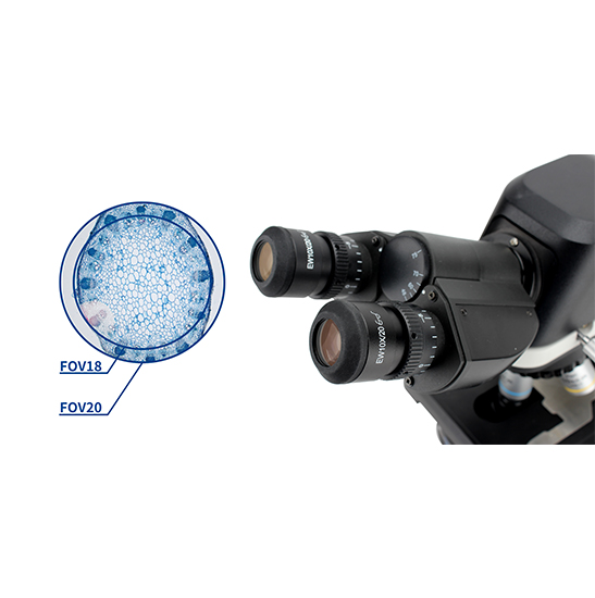 BS-2046B Binocular Biological Microscope