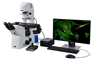 What is Fluorescence Microscope？