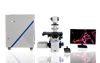 What is Laser Scanning Confocal Microscopy?