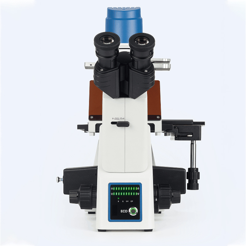 BS-2091F Inverted Fluorescent Biological Microscope