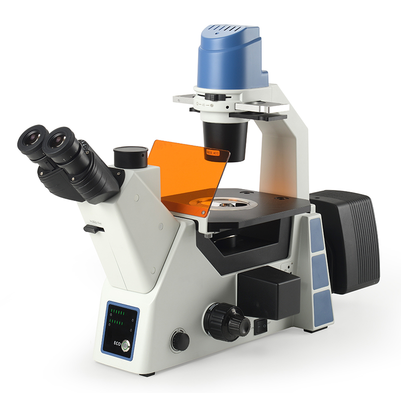 BS-2091F Inverted Fluorescent Biological Microscope