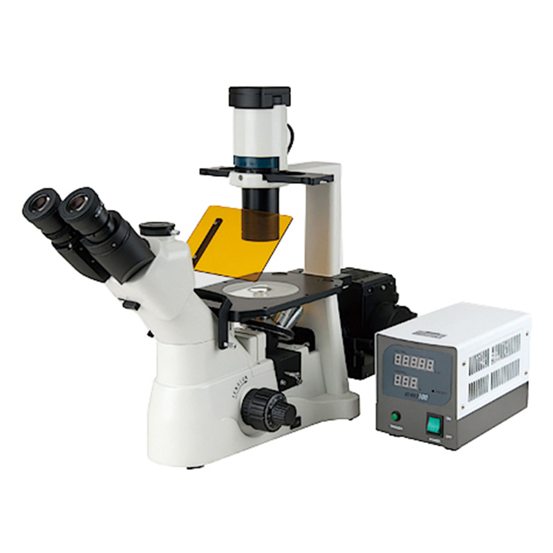 BS-2190AF Fluorescence Inverted Biological Microscope
