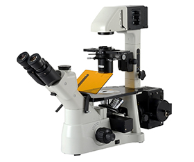 BS-2190BF Fluorescence Inverted Biological Microscope