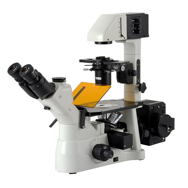 BS-2190BF Fluorescence Inverted Biological Microscope