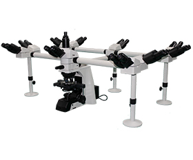 BS-2081MH20 Multi-Head Microscope