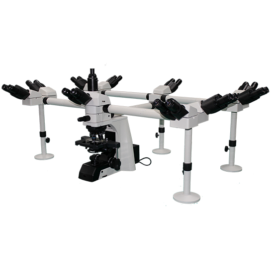BS-2081MH20 Multi-Head Microscope