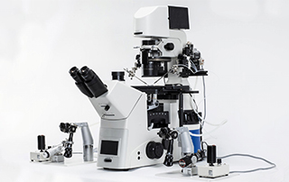 How are Microscopes Used in IVF, ICSI and IMSI?