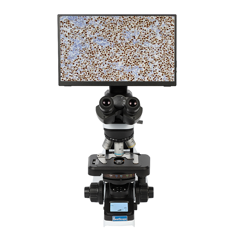 BS-2046T Trinocular Biological Microscope