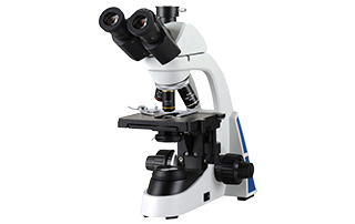 What is a Compound Microscope?