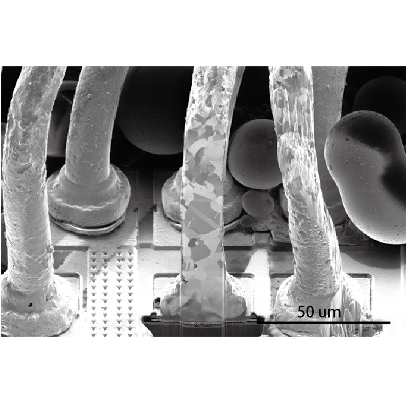 BDB-500 Focused Ion Beam Scanning Electron Microscope