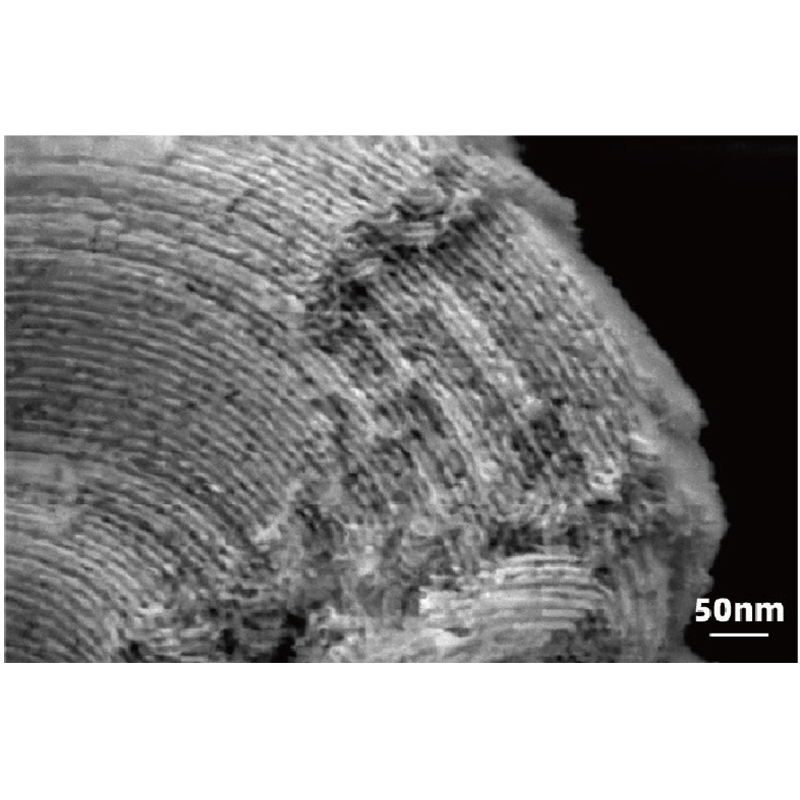 BSEM-500X Ultra-high Resolution Field Emission Scanning Electron Microscope