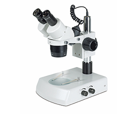 BS-3016A2 Binocular Stereo Microscope
