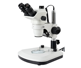 BS-3036AT3 Trinocular Zoom Stereo Microscope