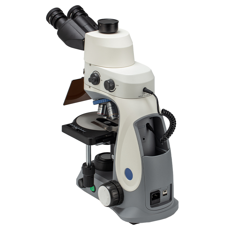 BS-2048FT(LED) Fluorescent Trinocular Biological Microscope