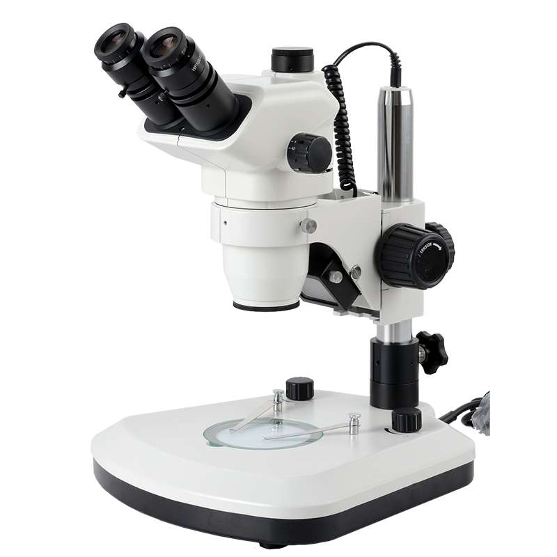 BS-3036AT3 Trinocular Zoom Stereo Microscope