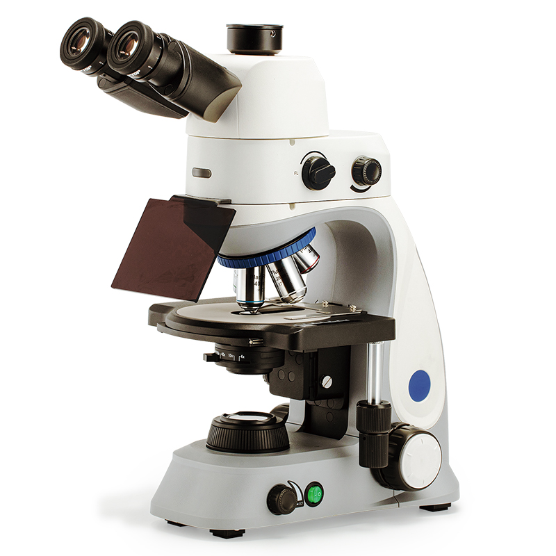BS-2047FT (LED, TB) Fluorescent Trinocular Biological Microscope