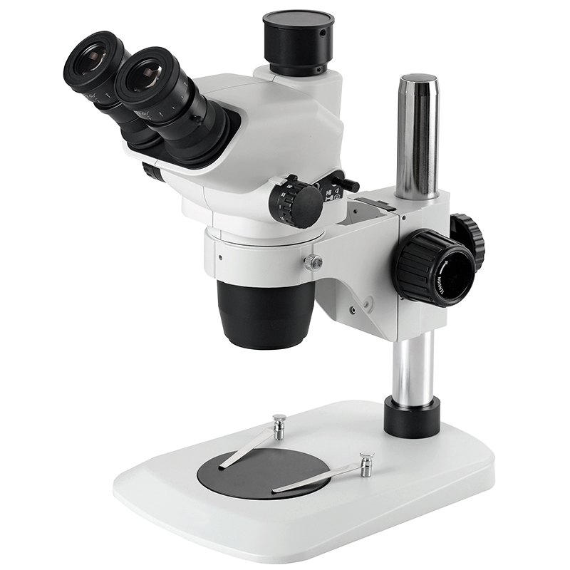 BS-3042T1 Trinocular Zoom Stereo Microscope