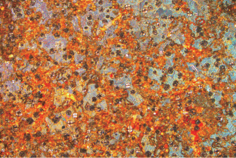 BS-6035BD Bright Dark Field Inverted Metallurgical Microscope