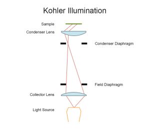 Köhler Illumination
