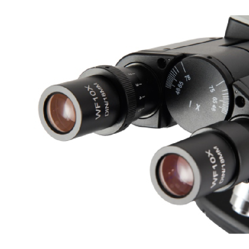 BS-2024B Binocular Biological Microscope