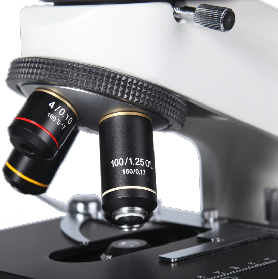 BS-2032B Binocular Biological Microscope