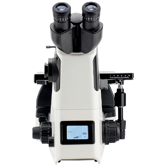 BS-6034A Inverted Metallurgical Microscope
