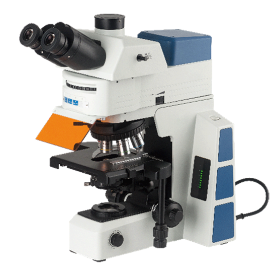 BS-2082F(LED) Research Biological Fluorescent Microscope