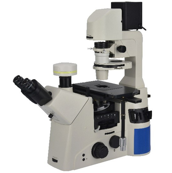 BS-2095A Research Inverted Microscope