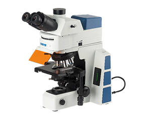 BS-2082F(LED) Research Biological Fluorescent Microscope
