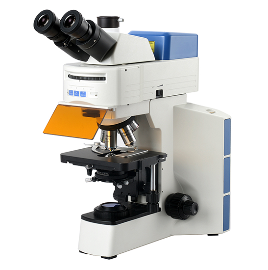 BS-2064FT(LED) Fluorescent Trinocular Biological Microscope