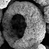 1 Metal Materials Cobalt powder